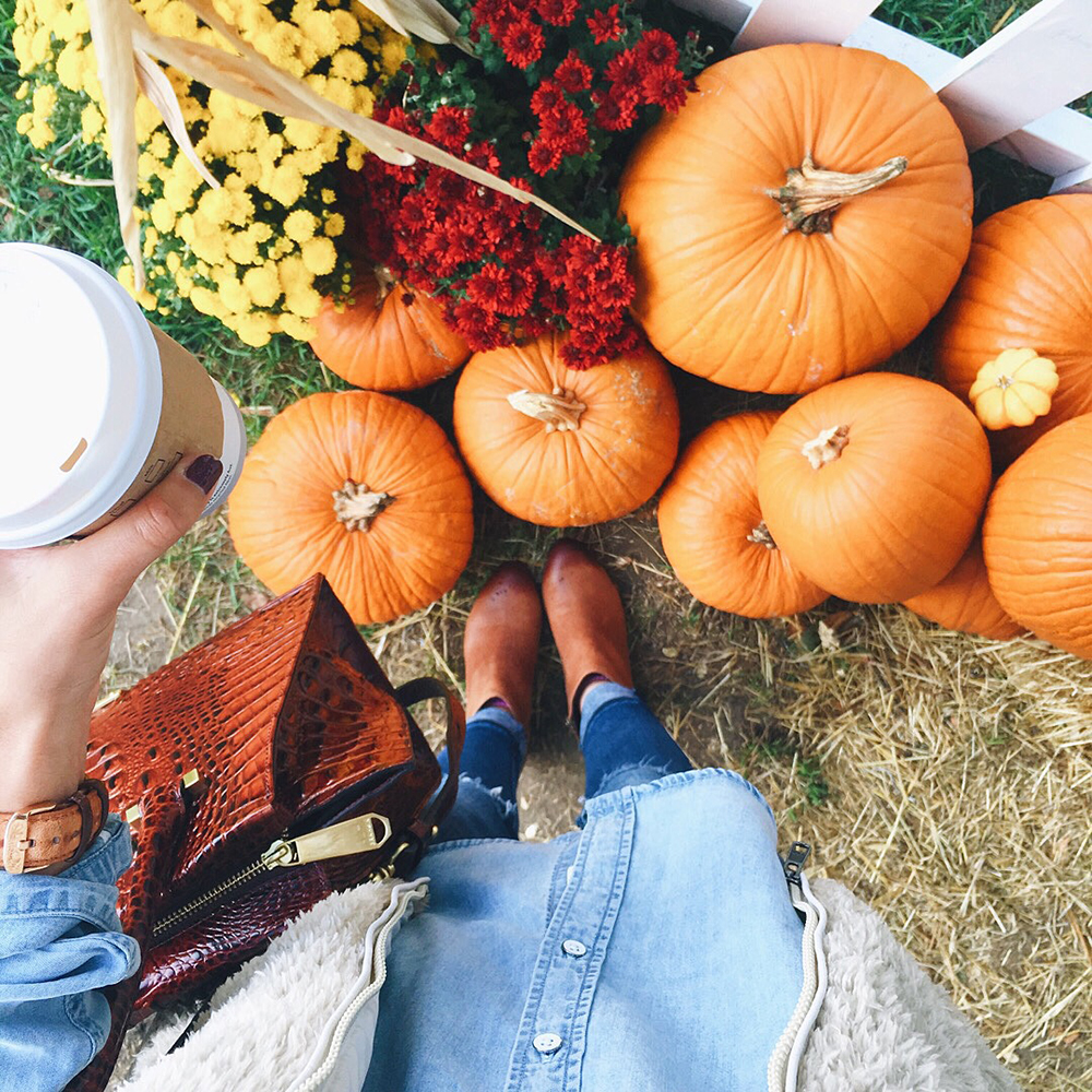 livvyland-blog-olivia-watson-newport-rhode-island-harbor-sailboats-travel-blogger-fall-pumpkin-patch